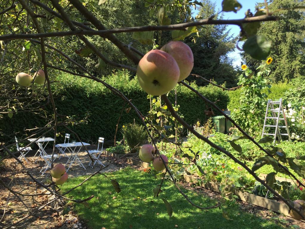 Bed & Breakfast Villa Alma Bern Bagian luar foto